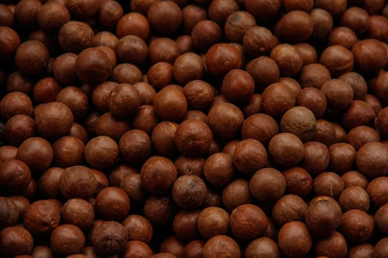 Macadamia Nuts